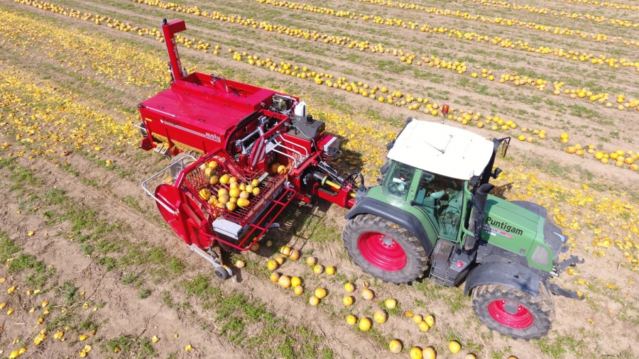 KE 3000 hydro S pumpkin seed harvester | Moty GmbH KE 3000 hydro S pumpkin seed harvester | Moty GmbH
