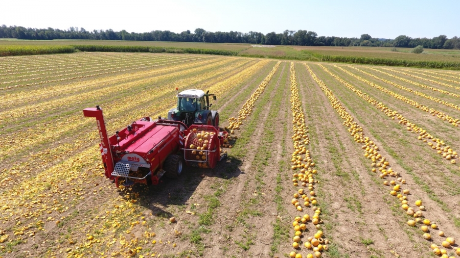 KE 3000 hydro S pumpkin seed harvester | Moty GmbH