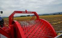 KE 3000 mécanique Machine de récolte pour pépins de citrouilles